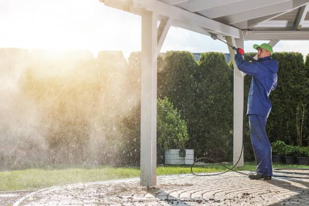 Best Roof Cleaning and Mildew Removal in Fox River Grove, IL
